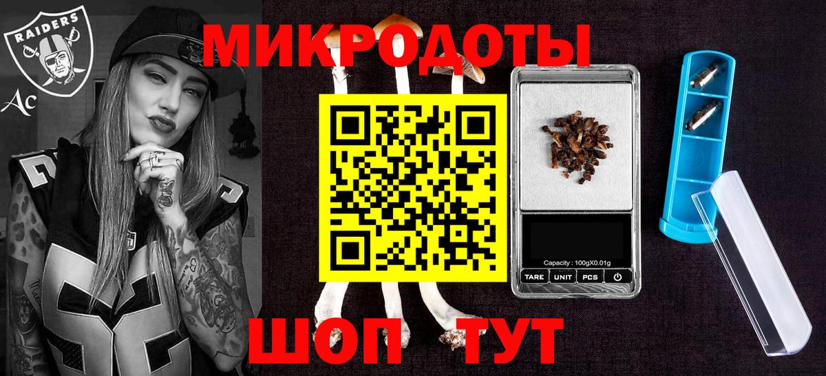 Псилоцибиновые грибы Psilocybe Лосино-Петровский