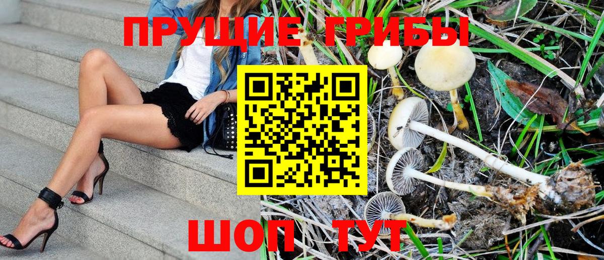 Лосино-Петровский  Галлюциногенные грибы Psilocybe  Вход с VPN 